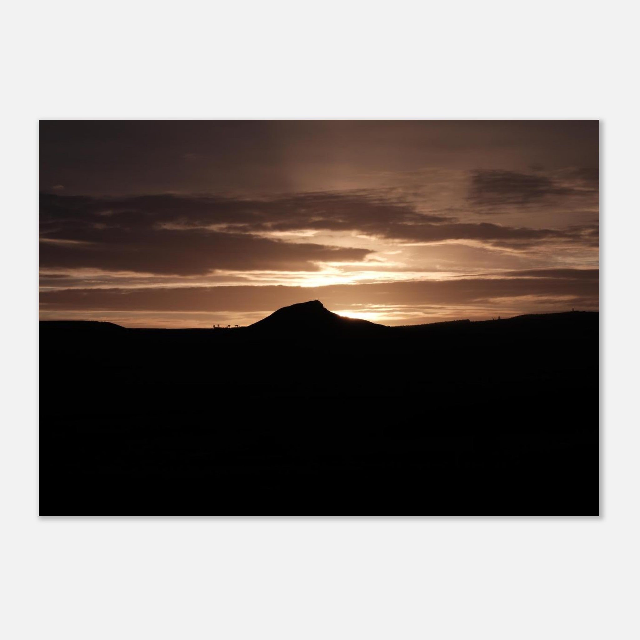 08954cfc-3e96-4291-9f51-7d6d388e2ce8