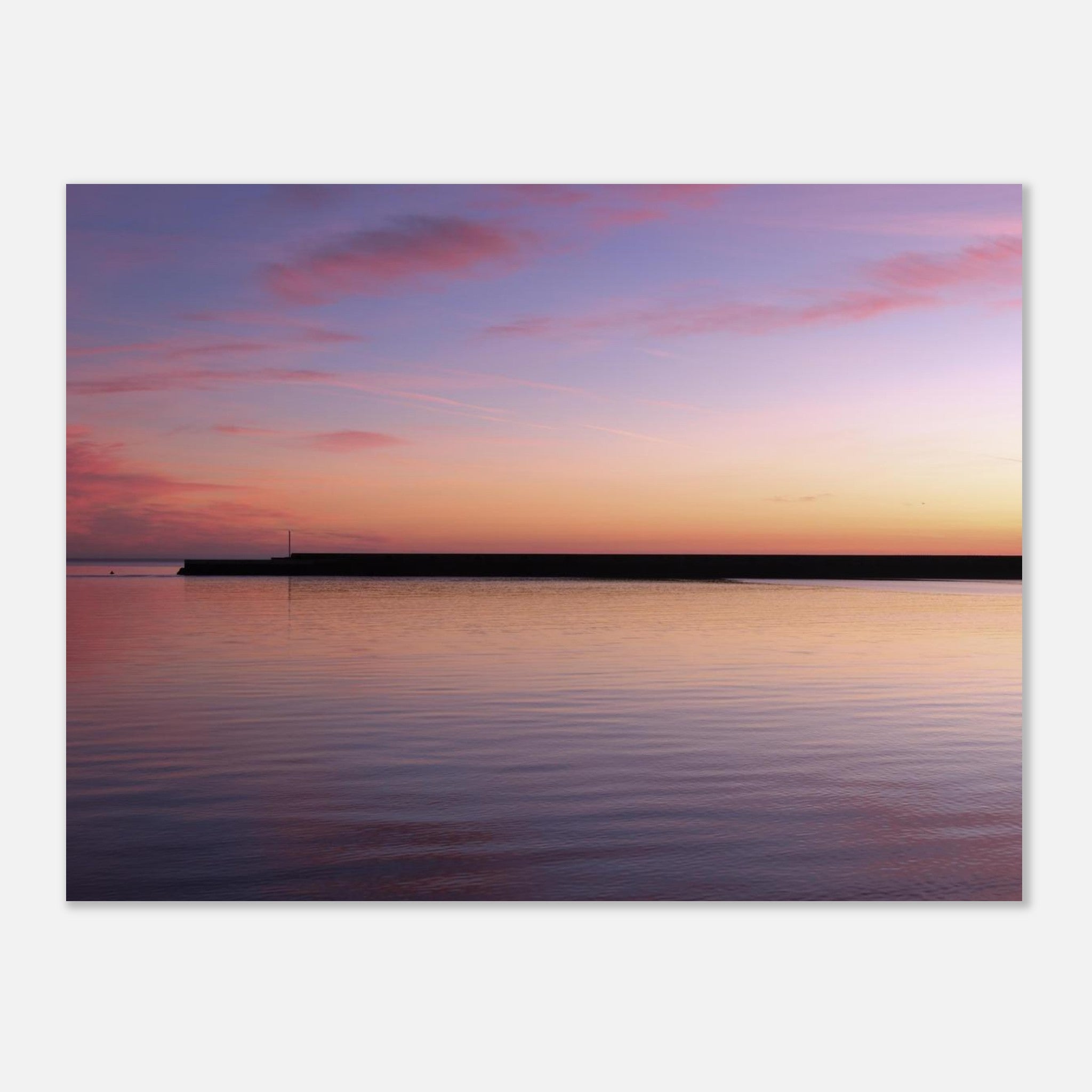 08c9bacc-75e8-420f-90f9-b0021591120a