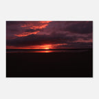 31cb006a-fd56-4d4c-814d-2f289c842475