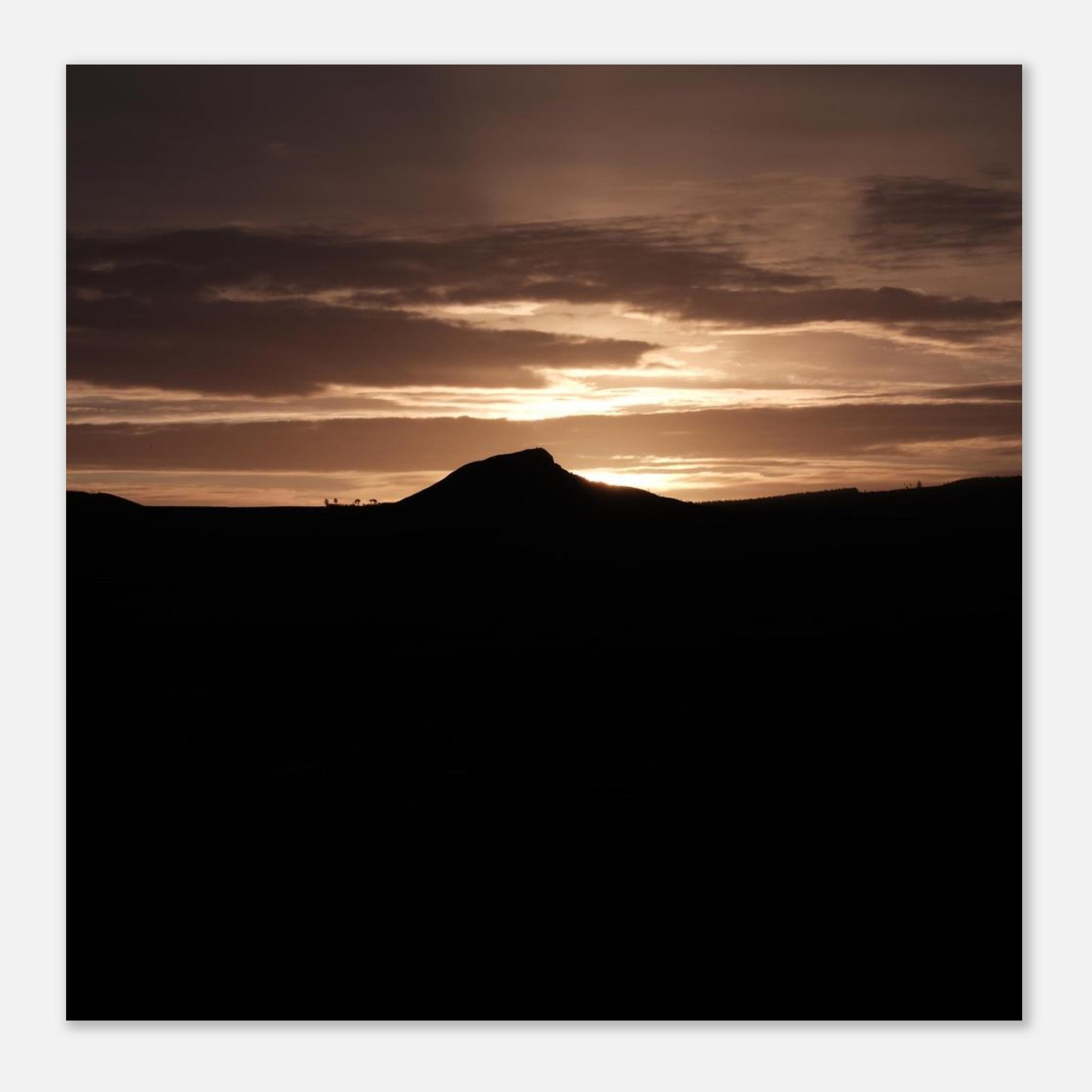 54490633-a72f-4682-9ab6-b579eca6ac52