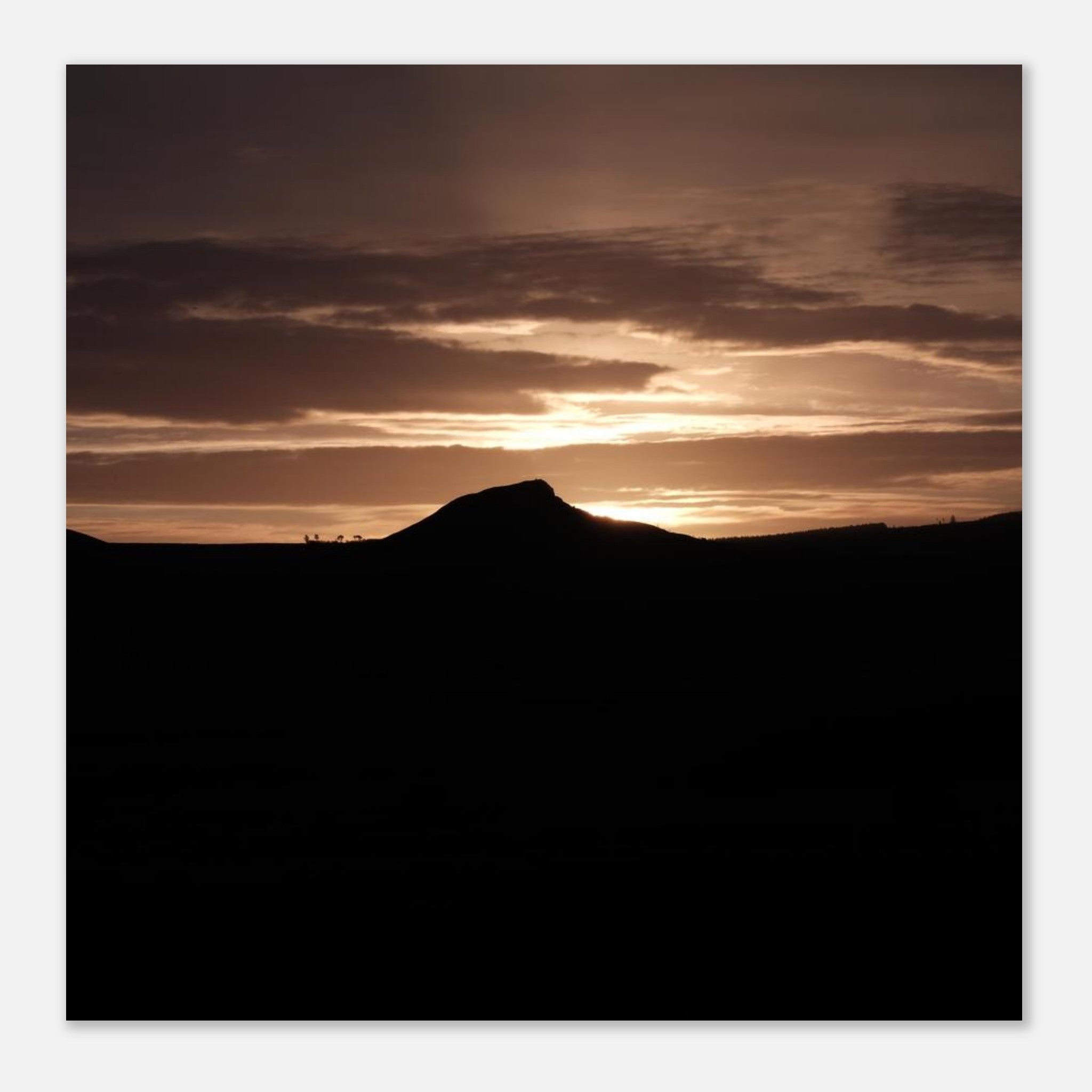 66ced864-7be4-4ec7-89b2-3419cec1e283