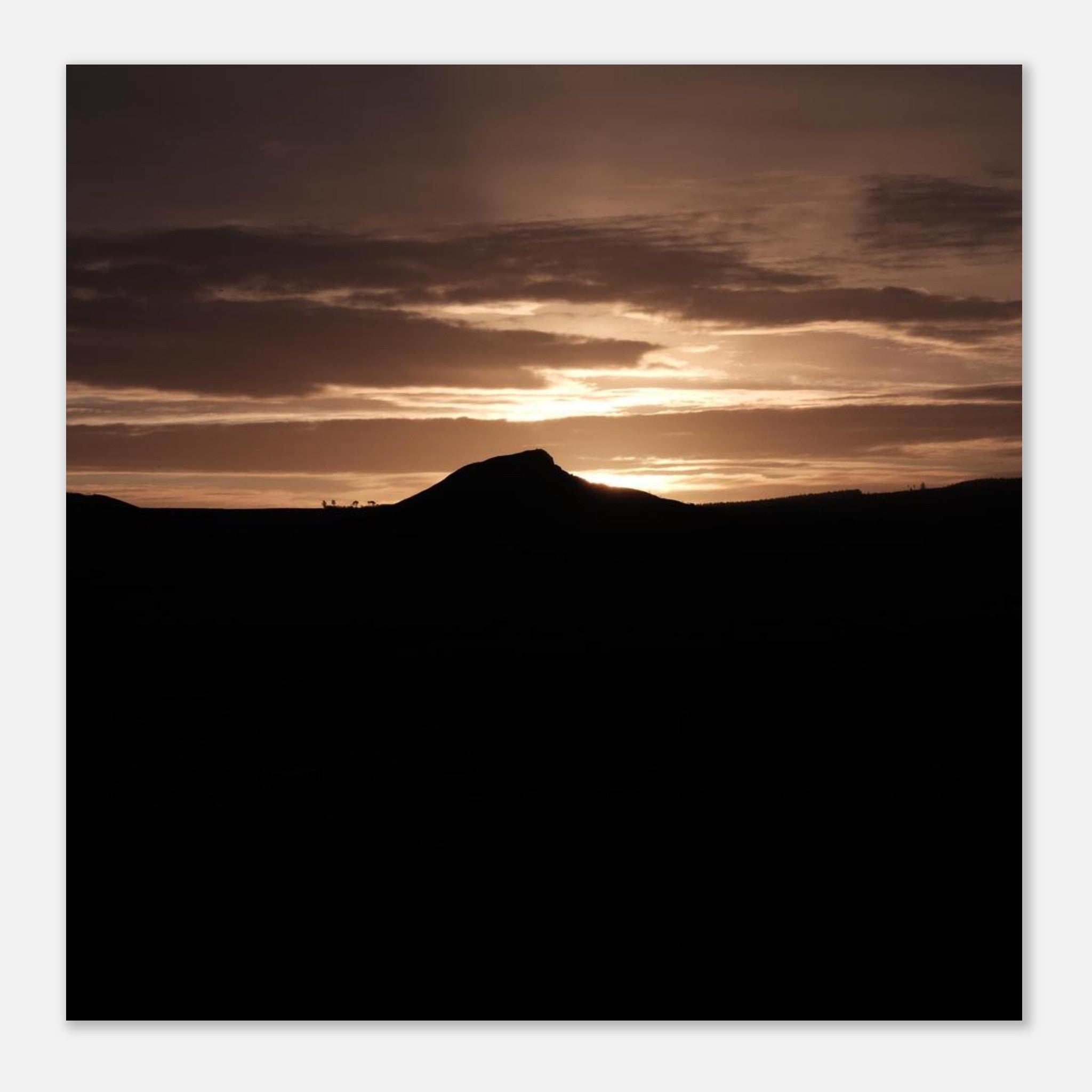 7c98a21b-9e9e-4a32-8c34-69519ac1d409