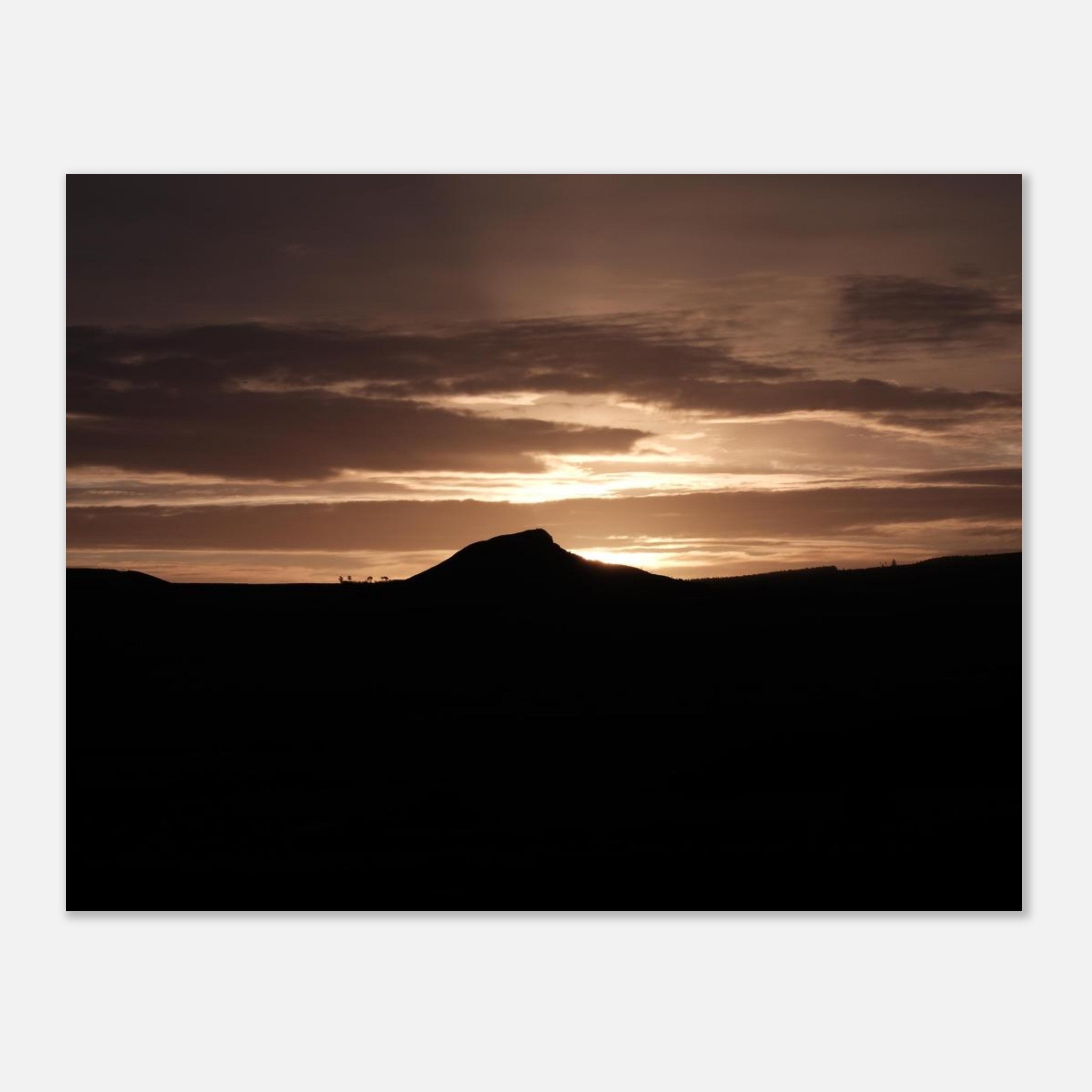 8e3335c9-ef67-4a32-b616-4f69650f4006