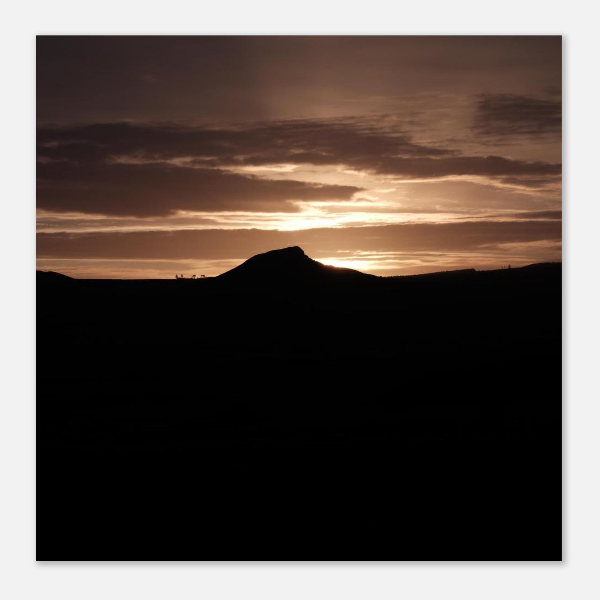 a04bb619-032c-4d6d-9945-c49f40dd9b64