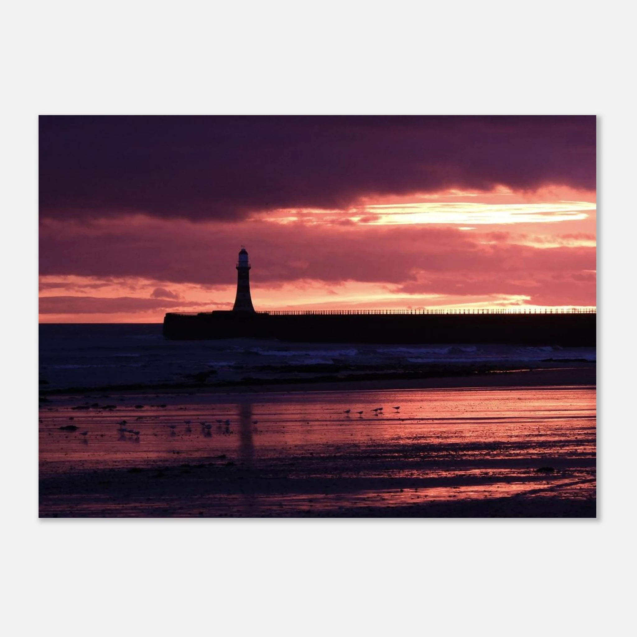 Roker Beach, Seagulls on the Shoreline - Fine Art Poster