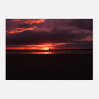 c49b7221-4d7f-456f-9f20-b69b6419c78b