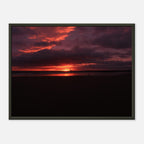 d00e0c66-d007-4a70-bf16-3e9980673b15